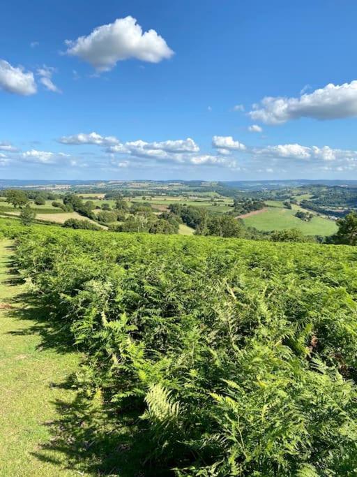 The Cider House Holiday Cottage Welsh Newton Common Экстерьер фото