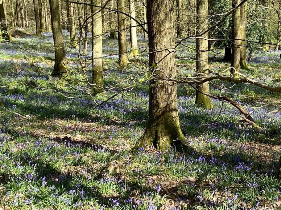 The Cider House Holiday Cottage Welsh Newton Common Экстерьер фото